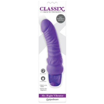 Classix Mr Right Vibrator - Purple